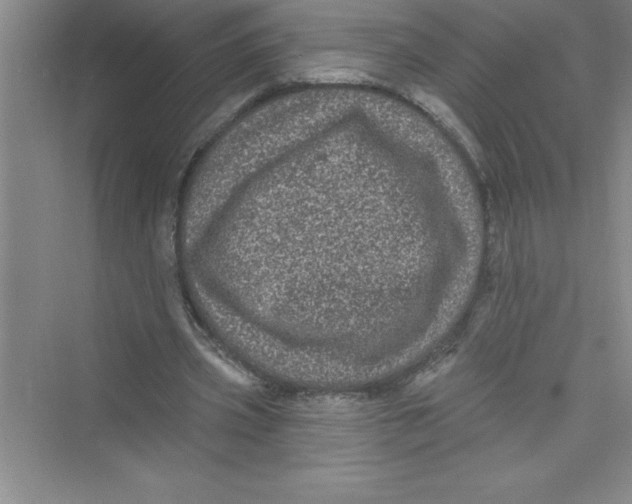 X0000072540533200608111815