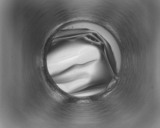 X0000072540536200608111815