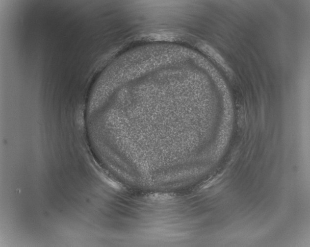 X0000072540537200608111815