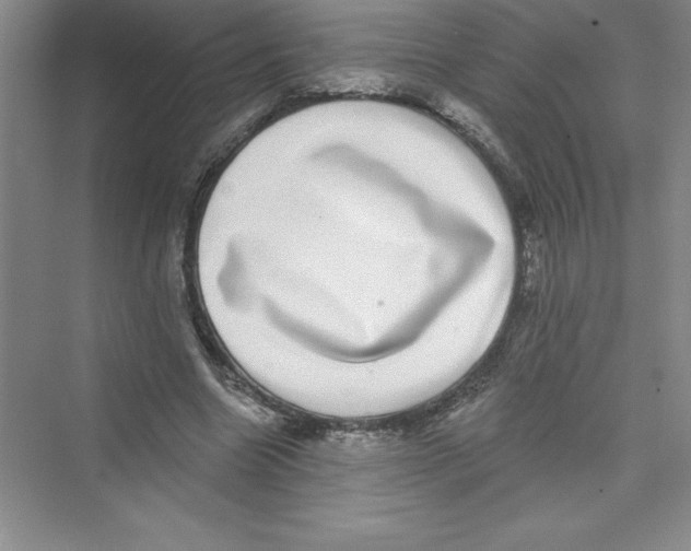 X0000072540538200608111815