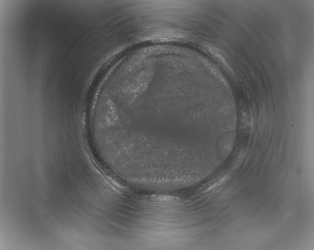 X0000072540539200608111815