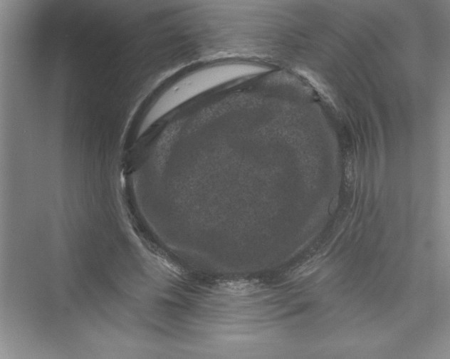 X0000072540540200608111815