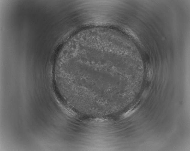 X0000072540542200608111815