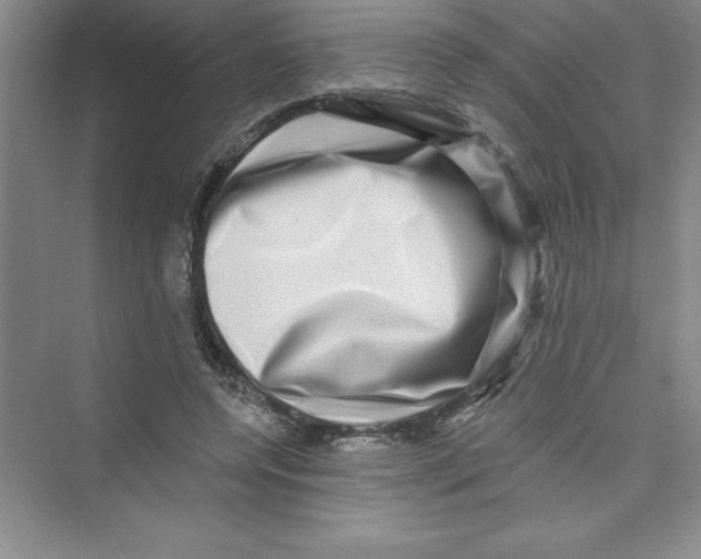 X0000072540544200608111815