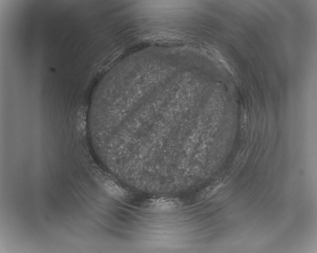 X0000072540545200608111815