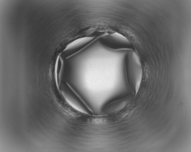 X0000072540546200608111815