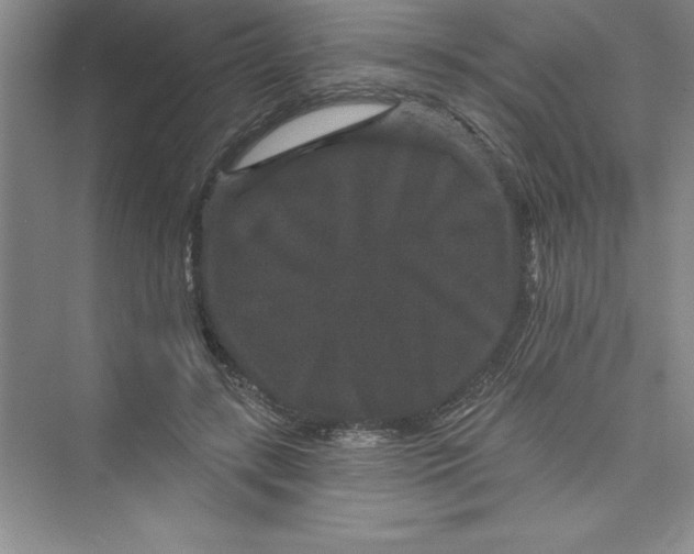 X0000072540547200608111815