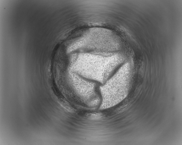 X0000072540548200608111815