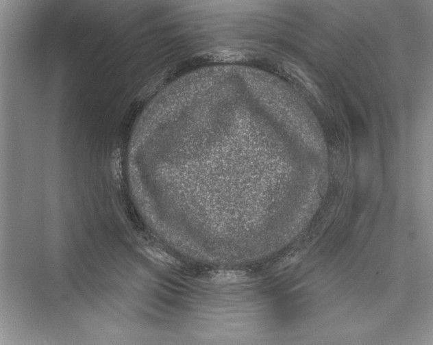 X0000072540549200608111815