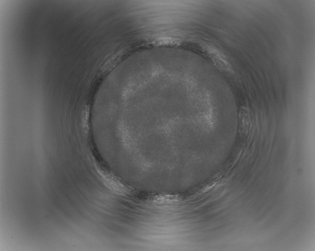 X0000072540550200608111815