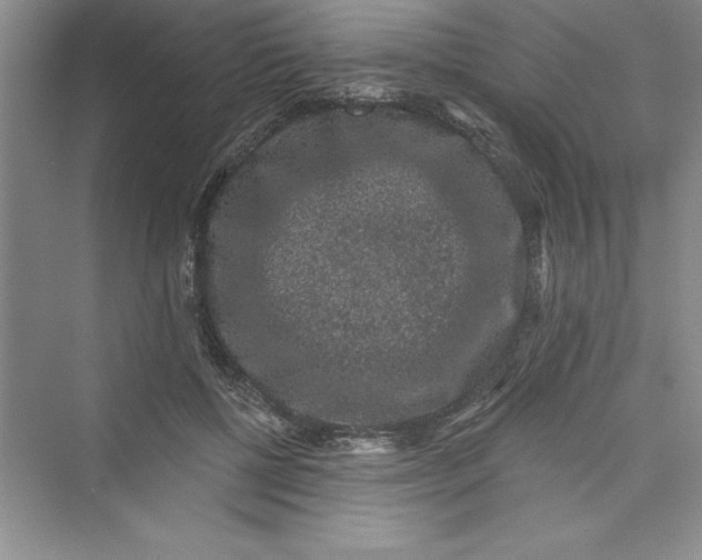 X0000072540552200608111815