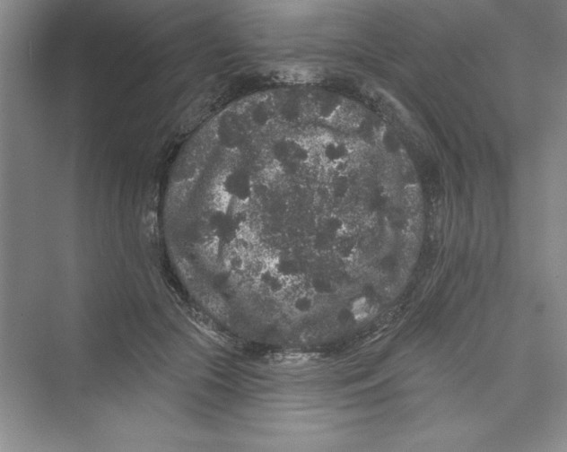 X0000072540553200608111815