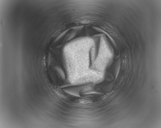 X0000072540555200608111816