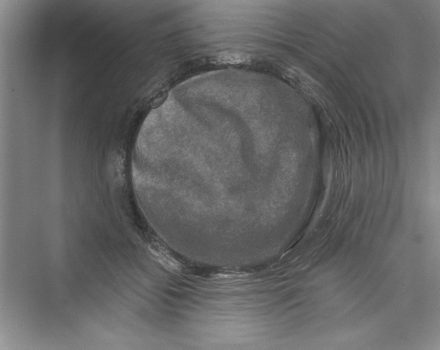 X0000072540556200608111816