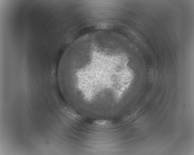 X0000072540557200608111816