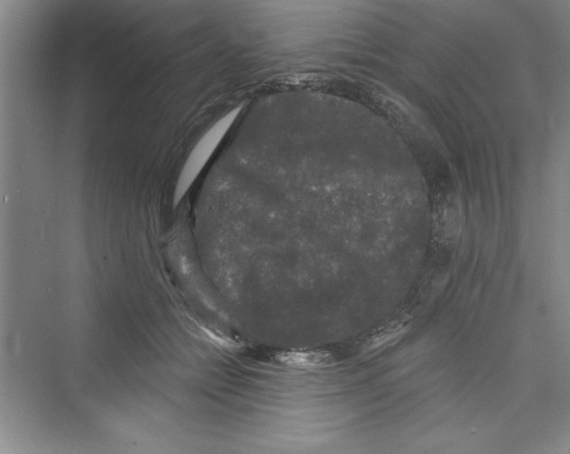 X0000072540558200608111816