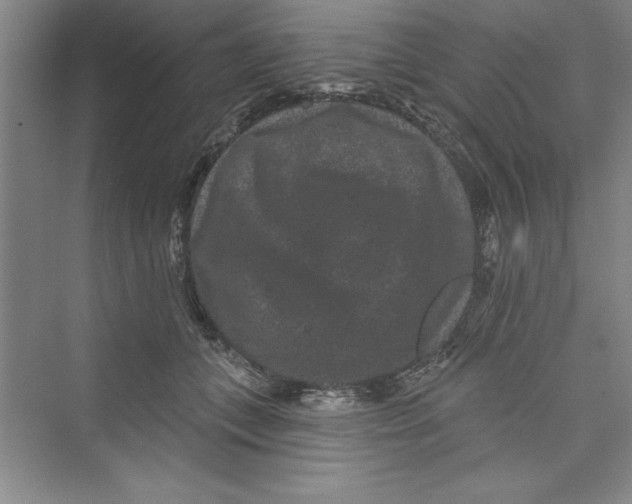 X0000072540559200608111816