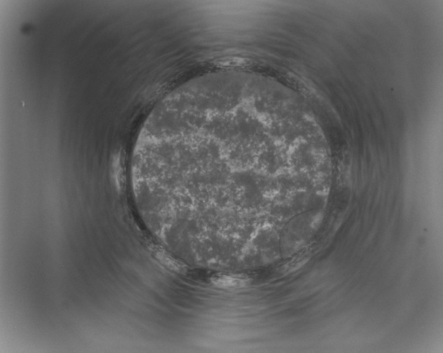 X0000072540561200608111816