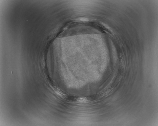 X0000072540562200608111816