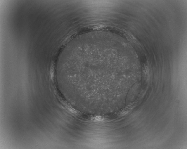 X0000072540565200608111816