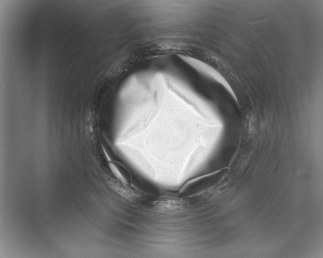 X0000072540567200608111816