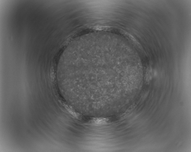 X0000072540569200608111816