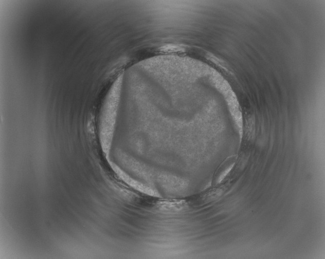 X0000072540571200608111816