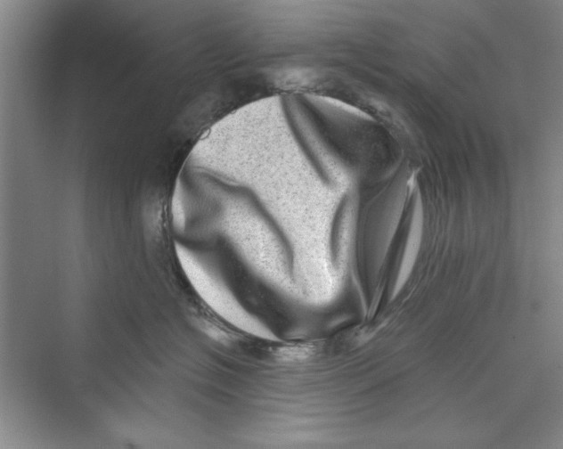 X0000072540574200608111816