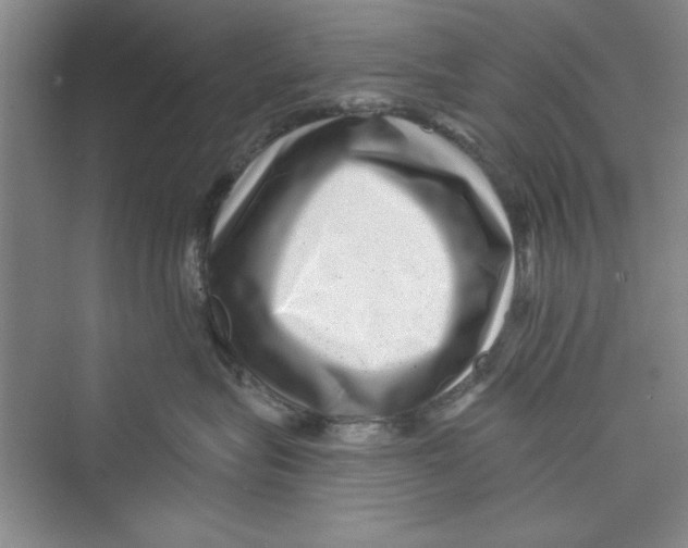 X0000072540575200608111816