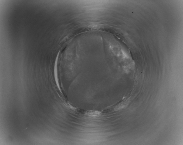 X0000072540576200608111816