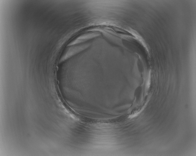 X0000072540577200608111815