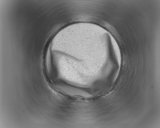 X0000072540578200608111815