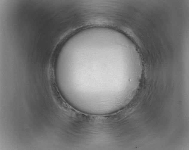 X0000072540579200608111815