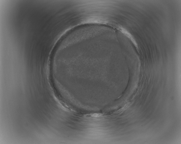 X0000072540580200608111815