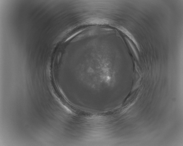 X0000072540581200608111815