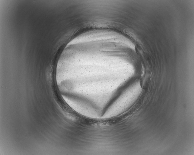 X0000072540586200608111815