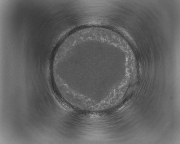 X0000072540588200608111815