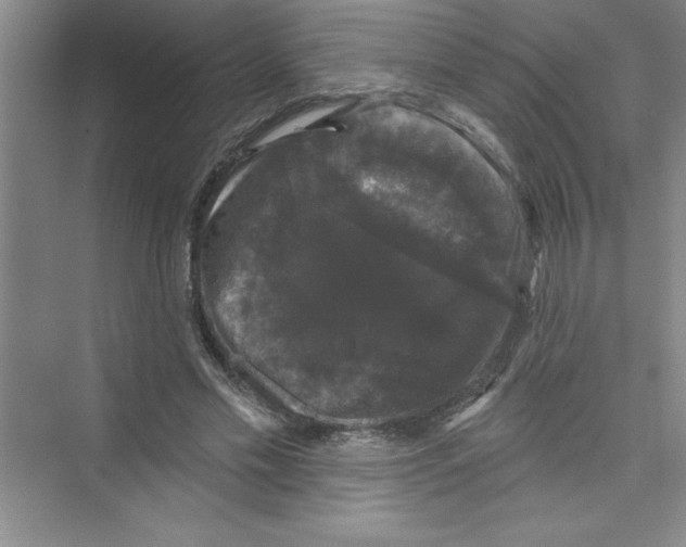 X0000072540589200608111815