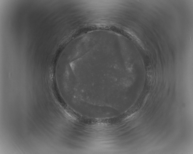 X0000072540593200608111815