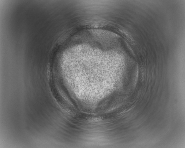 X0000072540594200608111815