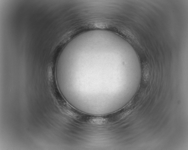 X0000072540595200608111815