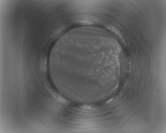 X0000072540596200608111815