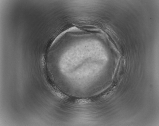 X0000072540597200608111815