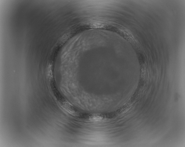 X0000072540598200608111815