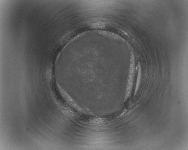 X0000072540600200608111815