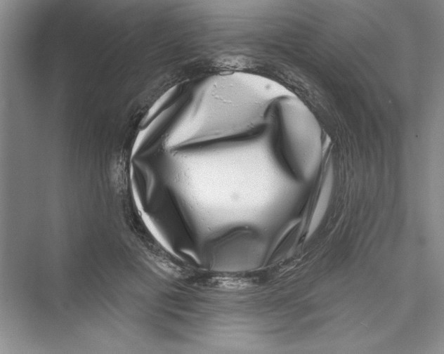 X0000072540601200608111815