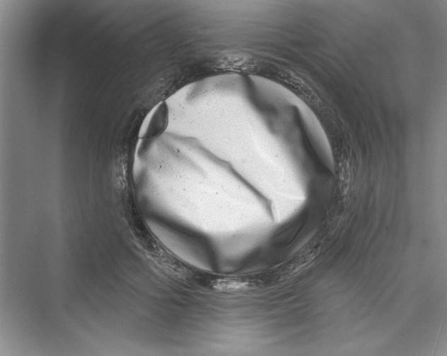 X0000072540602200608111815