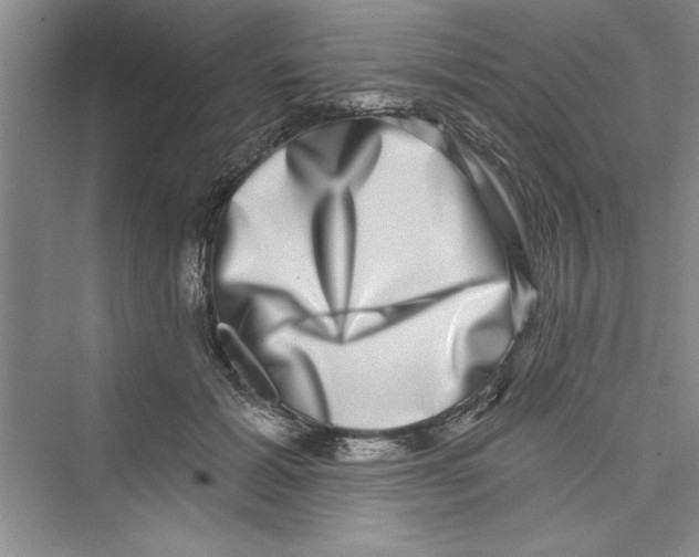 X0000072540605200608111815