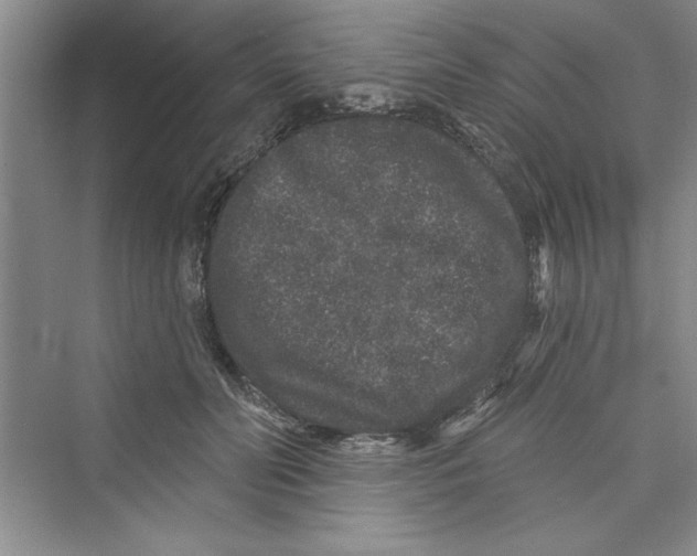 X0000072540606200608111815