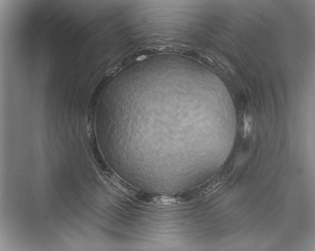 X0000072540607200608111815